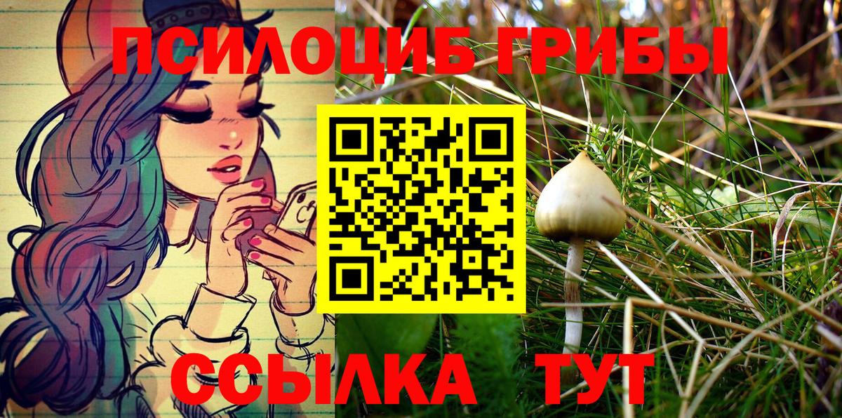 Чита  Псилоцибиновые грибы Psilocybe  Вход с VPN 